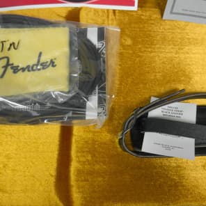 Fender 2004 Masterbuilt John English Telecaster Thinline - Pine/Leather image 22