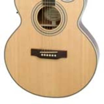 Epiphone PR-5E Acoustic/Electric Guitar w/ Florentine Cutaway 