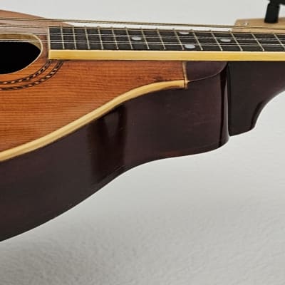 1913 The Gibson A-1 Mandolin Pumpkin Top Vintage Natural Acoustic Guitar image 2