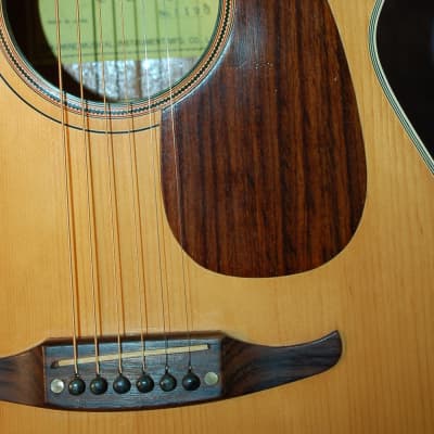 Video Demo 1975 Montano by Takamine F190 Folk Guitar Concert Size Pro Setup New strings Orig Soft Shell Case image 4