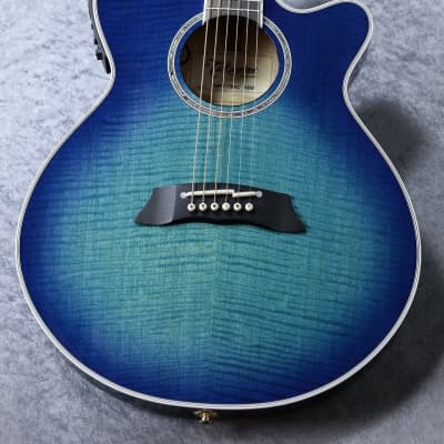 訳ありのため超特価 Takamine TSP178AC SSB Takamine TSP178AC SBB｜ミュージックランドKEY