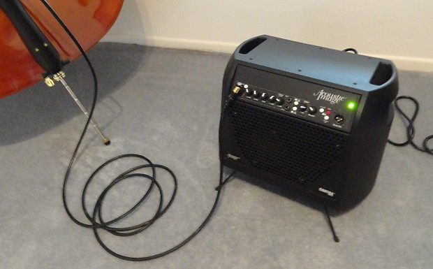 Acoustic Image Contra Series III upright bass amp | Reverb