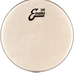 Evans Calftone Drumhead - 10 inch image 5