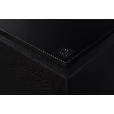 Definitive Technology Descend DN15 15" Subwoofer - New 3XR Architecture and Intelligent Phase Control, 1500W Peak Class H Amplifier & (2) Pressure-Coupled 15" Bass Radiators image 7