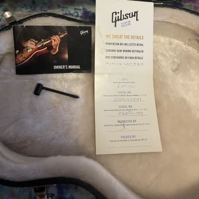 Gibson Les Paul (Zakk Wylde Custom Vertigo) 2012 - Vertigo image 11