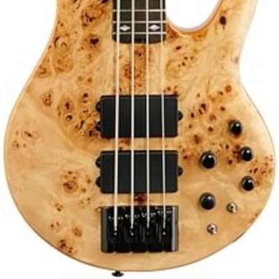 Michael Kelly Pinnacle 4-String Bass Electric Bass Guitar with Natural Burl Finish for sale