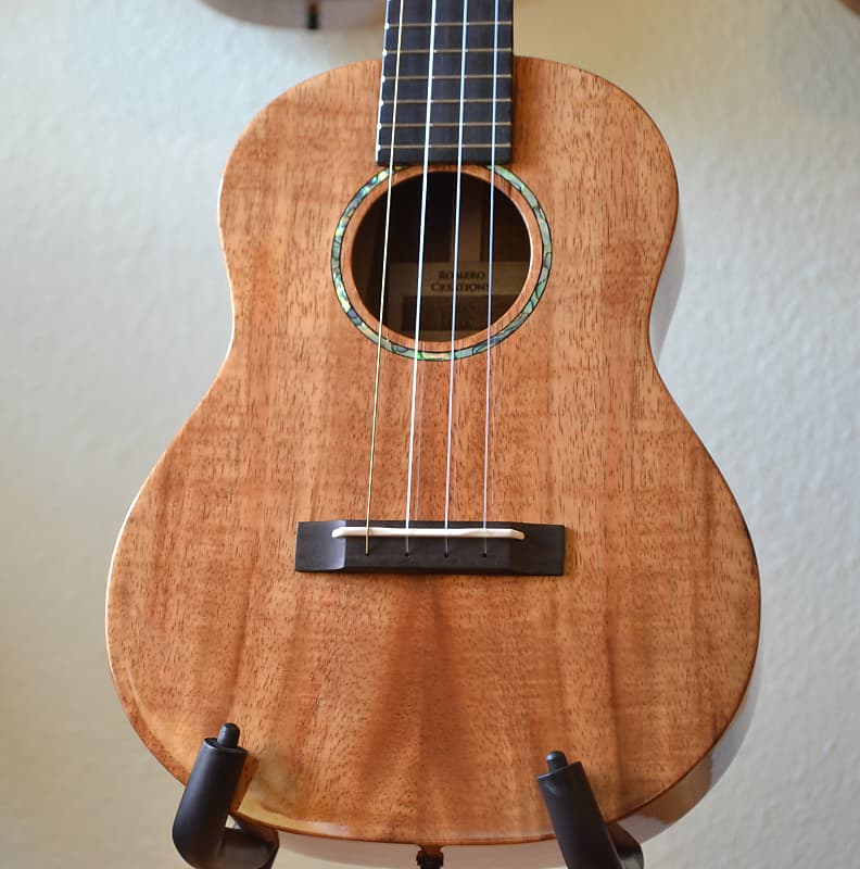 Dani martin ukulele top