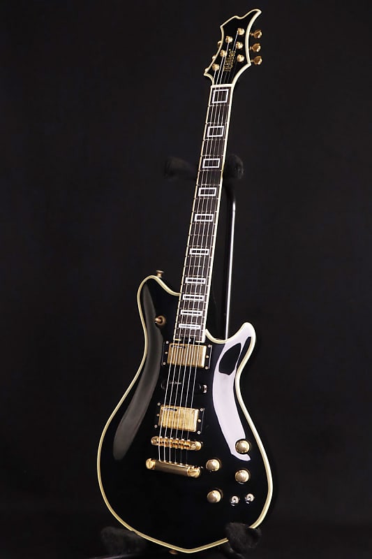 KG-MARQUIS CUSTOM +ESPギグバッグ SPECIAL GUITAR GIG BAG | ESP GUITARS