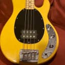 Sterling StingRay Ray24CA Classic Active 2010s Butterscotch