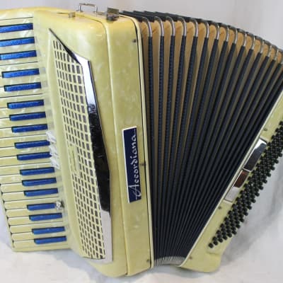 6799 - Blueberry Muffin Excelsior Accordiana Piano Accordion LM 41 120