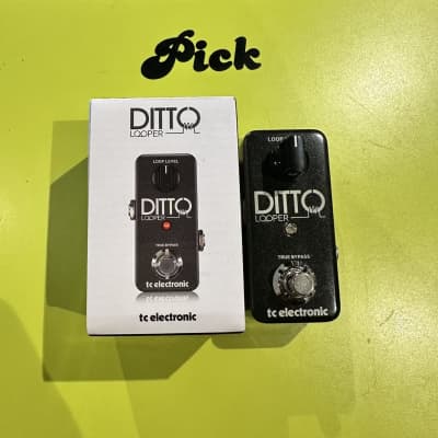 TC Electronic Ditto Looper 2013 - Present - Black for sale
