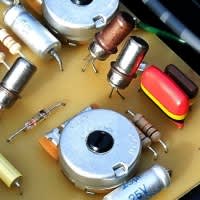 CASTLEDINE Olympic Hoochie’s Fuzz Castledine Olympic Custom Fuzz - Brand New | Reverb