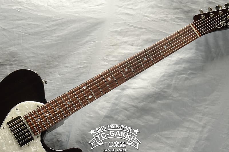 2018 FREEDOM CUSTOM GUITAR RESEARCH Black Pepper | Reverb