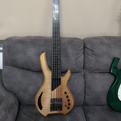 Willcox Light wave 5 fretless 2010s for sale