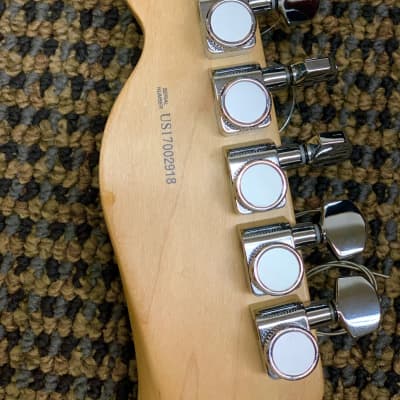 Fender Channel Bound Neck and 69 Thinline Reissue Natural image 7