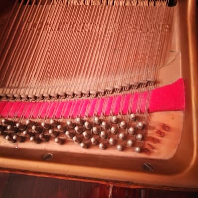 Chickering & Sons 58515 1881 - Marrone satinato image 10