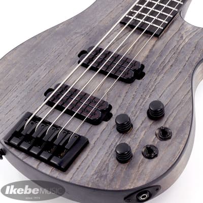 SCHECTER C-5 APOCALYPSE [AD-C-5-APOC] (Rusty Grey) | Reverb