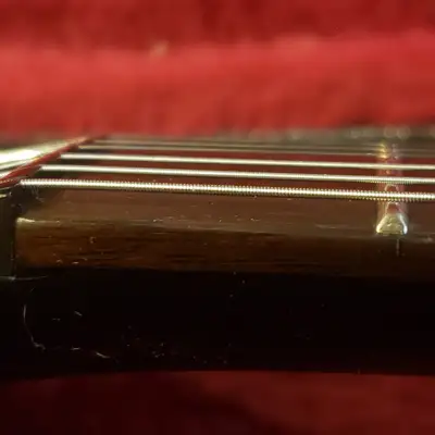 Epiphone SG Special image 5