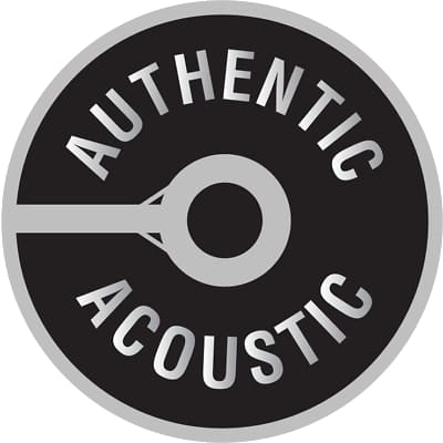 Martin MA140 Authentic Acoustic Light Gauge Guitar Strings 12-16-25-32-42-54 image 3