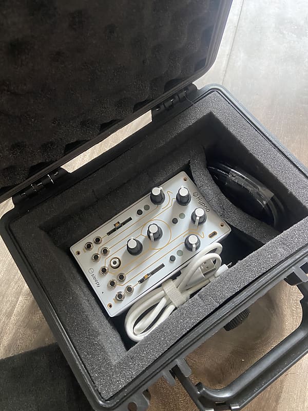 Sleepy Circuits Hypno 2020 + Hardcase and Accessories Reverb