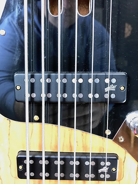 Bass Mods K634 6-String Bass, Spalted Top, John East J-Retro Bass Mods K634 6-String Bass, Spalted Top, John East J-Retro
