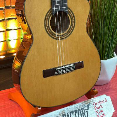 Ibanez GA Series GA6CE Classical Cutaway Acoustic-Electric Guitar Natural for sale