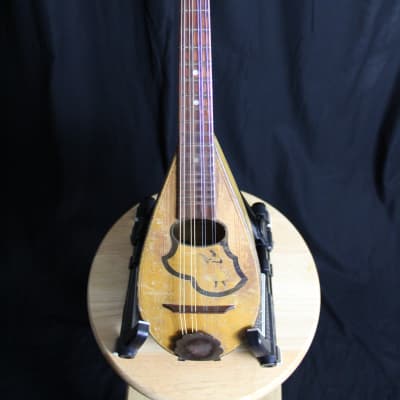 Georg Haid Mandolin Made in Germany Vintage image 1
