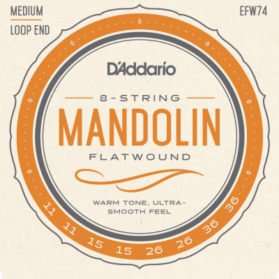D'Addario EFW74 Flatwound Mandolin Strings, Phosphor Bronze, Medium, 11-36 image 1