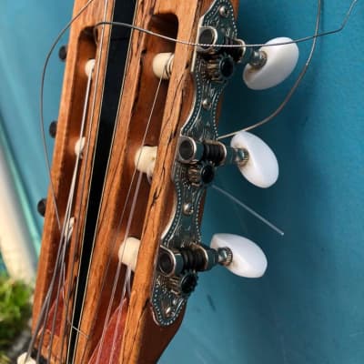 Wilson Campos 7-String Guitar, steel & nylon strings, 2021 image 12