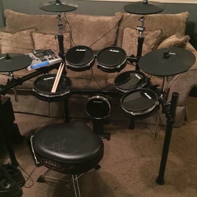 Alesis DM10 Pro Kit Electronic Drum Set 2000s - Black