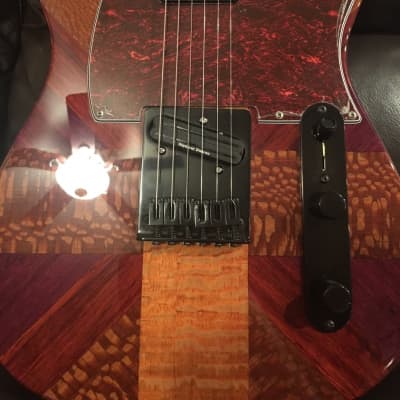 Kopp's Custom Guitars Telecaster  2018 Purple Heart, Paduke, Lacewood, Mahogany image 8