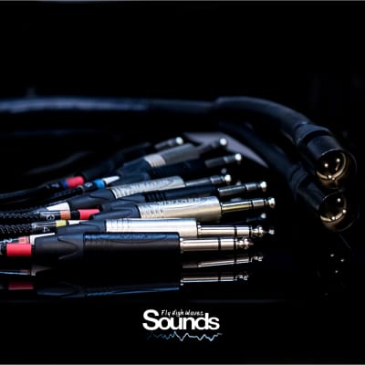 Waves Sounds TRS In 8 CH - XLR Out Summing Cable 2019 Black & Silver image 3