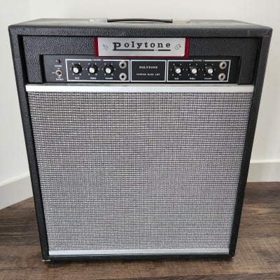Polytone Model 100 1970s Rare Vintage 1x15 100W Bass Amplifier for sale