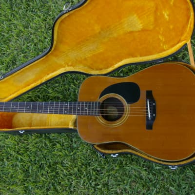 Trump Dreadnought with Vintage Case image 6