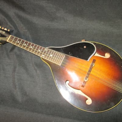 Gibson A50? Mandolin image 2