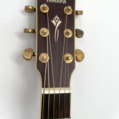 Yamaha DW-8 Acoustic Guitar | Reverb