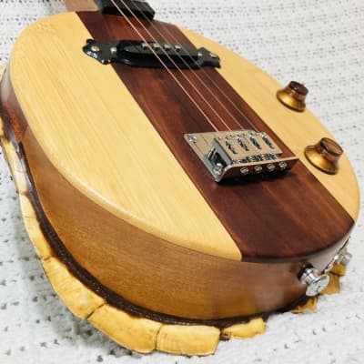 Turtle Shell Electric Tenor Guitar - mahogany top image 1