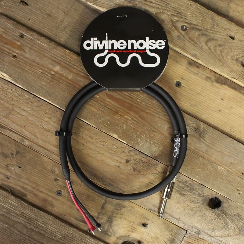 Divine Noise Combo Amp Speaker Cable 3feet with Straight Reverb