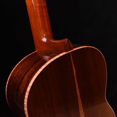 Cordoba Esteso Euro Spruce "Luthier Select" Classical Guitar and Case image 12