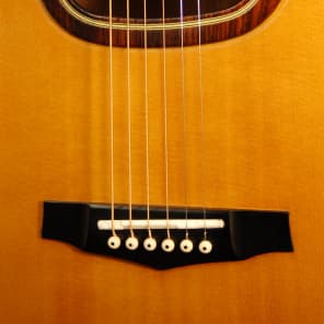 Video Demo Ibanez R400 Ragtime Acoustic Guitar Arched Back
