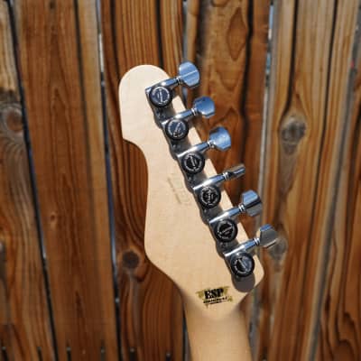 ESP Original Custom Shop Snapper AS-M Driftwood/Burner Satin 6-String Electric Guitar w/ Case (2024) image 5