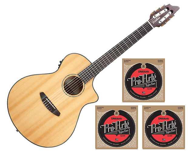 Breedlove Pursuit Nylon String Guitar w/Bag + 3 Sets D'Addario EJ45 Strings image 1