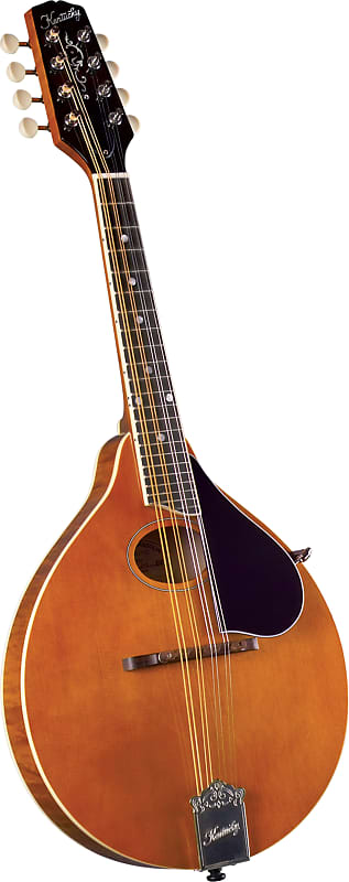 Kentucky KM-272 Deluxe Oval Hole A-Model Mandolin, Transparent Amber w/Soft Case image 1