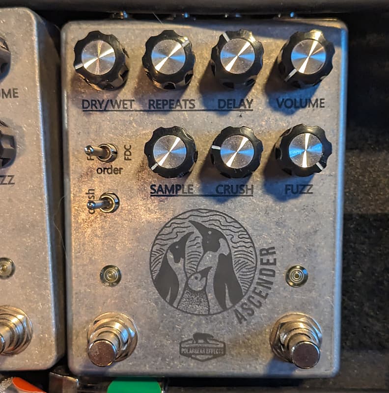 Polarbear Effects Ascender 2022 Reverb