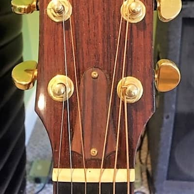 NH Pickup:  Taylor 914-C Lefty Cutaway Acoustic Electric  1997 image 3