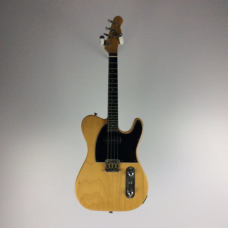 Schwab 4string electric mandolin Reverb Canada