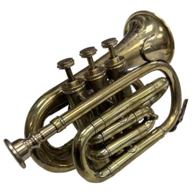 Golden Nadir Ali & Dev B Flat Brass Polish Cornet (pocket trumpet