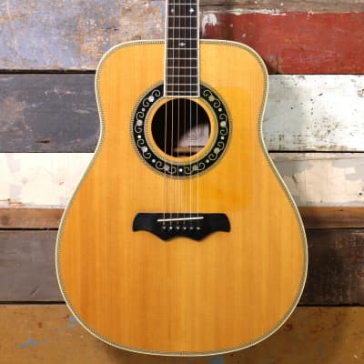 Bozo Model B80S Acoustic With Pickup image 1