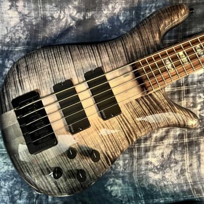 Spector USA NS-5XL | Reverb