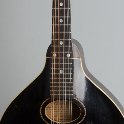 Gibson  Style A-1 Snakehead Carved Top Mandolin (1925), ser. #78901, original black hard shell case. image 8